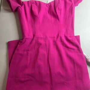 Dress the Population Strapless Fuchsia Dress